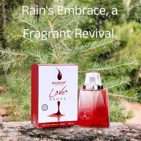 "Enchanted Essence: Your Festive Fragrance Expedition"