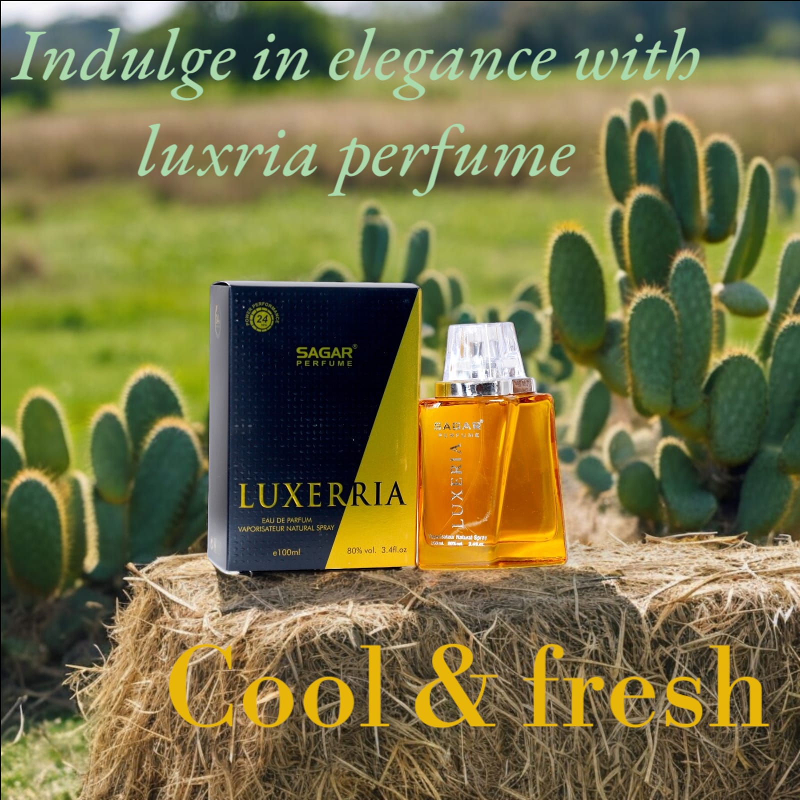 Unveiling Elegance: Luxria Perfume's Journey into the Realm of Luxury